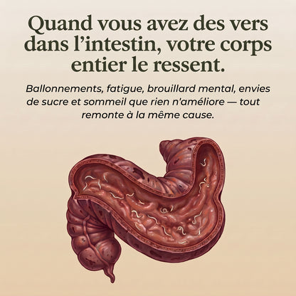 Quand vous avez des vers, votre corps le ressent