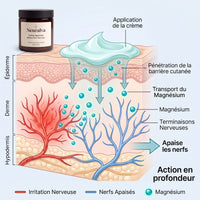 Neuralva action en profondeur