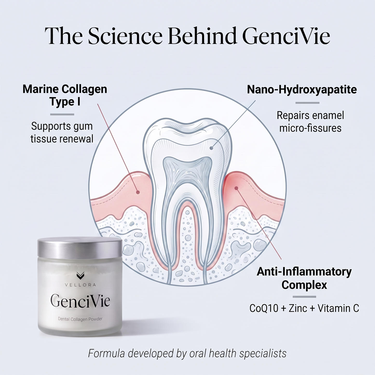 The science behind GenciVie - marine collagen, nano-hydroxyapatite, anti-inflammatory complex
